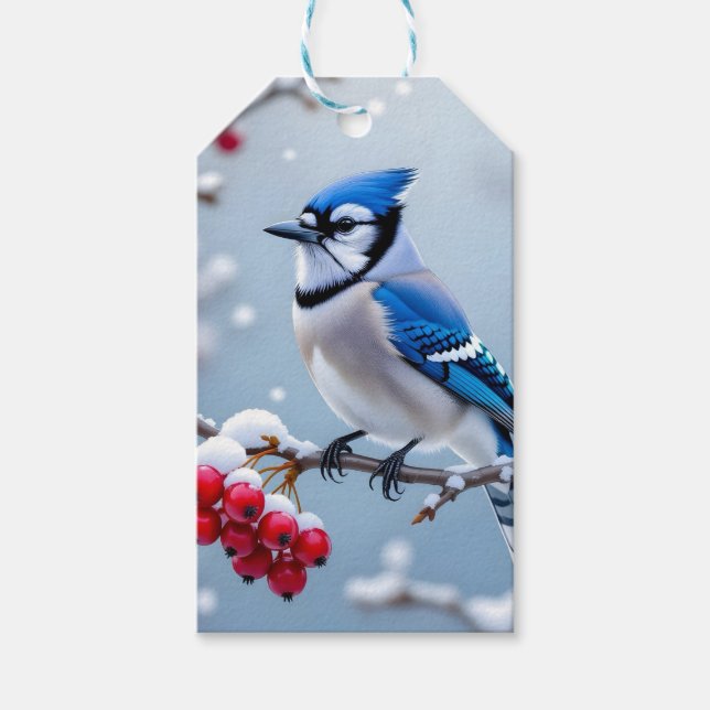 A Pretty Blue Jay on a Snowy Branch Christmas Gift Tags (Front)