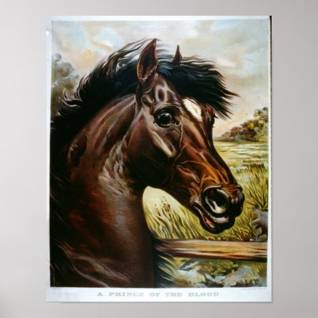 A Prince of the Blood Poster (Front)