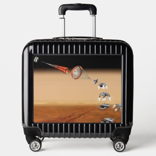 A Proposed Mars Sample Return Mission Luggage