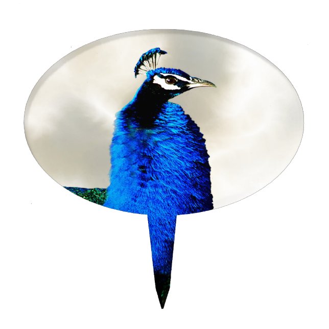 A proud peacock cake topper (Front)
