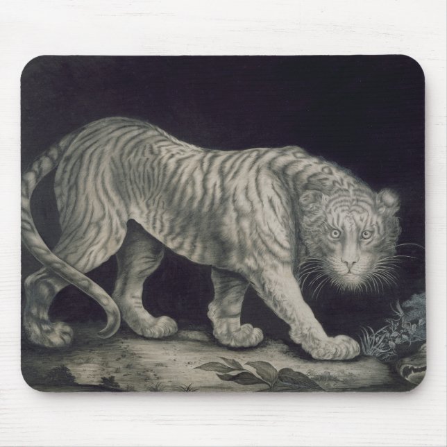 A Prowling Tiger (pencil on paper) Mouse Pad (Front)