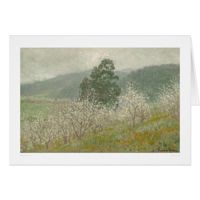 A Prune Orchard, Saratoga, California (1170) Cards