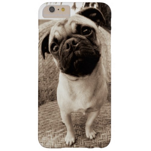 A Pug with its Head Titled to the Side Barely There iPhone 6 Plus Case