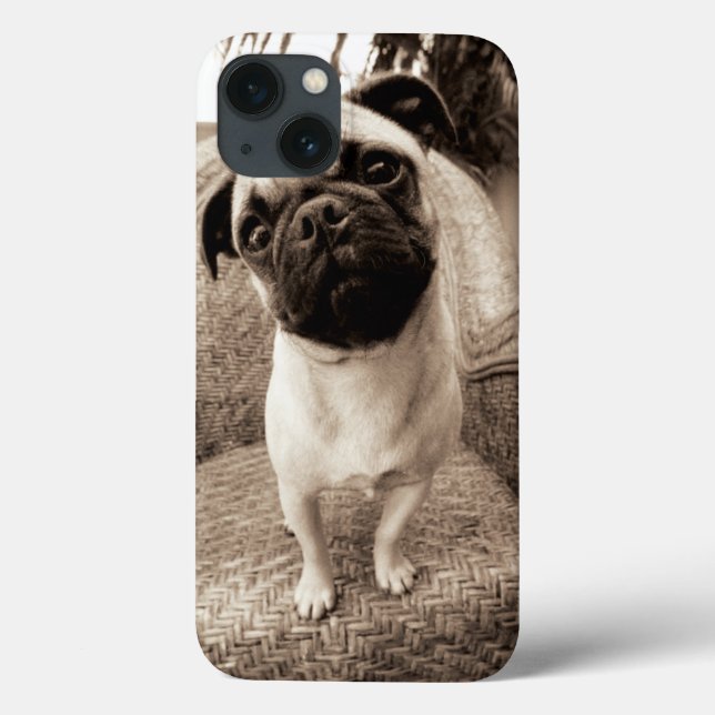 A Pug with its Head Titled to the Side Case-Mate iPhone Case (Back)