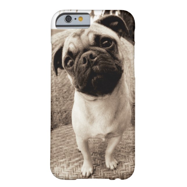 A Pug with its Head Titled to the Side Case-Mate iPhone Case (Back)