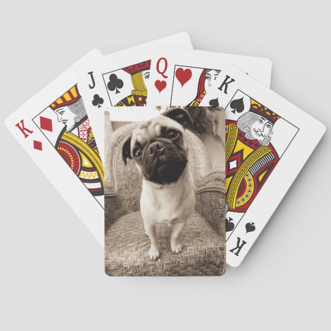 A Pug with its Head Titled to the Side Poker Cards (Back)