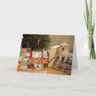 A puppy sits amongst Christmas presents Holiday Card