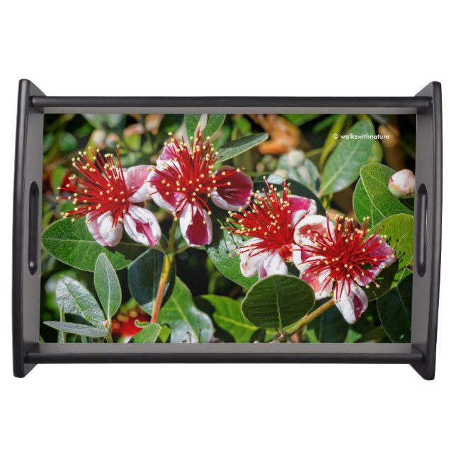 A Quartet of Pineapple Guava / Guavasteen Flowers Serving Tray (Front)