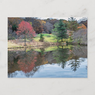 A quiet autumn reflection of color and water, postcard