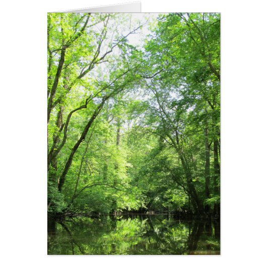 A Quiet Creek Cards (Front)