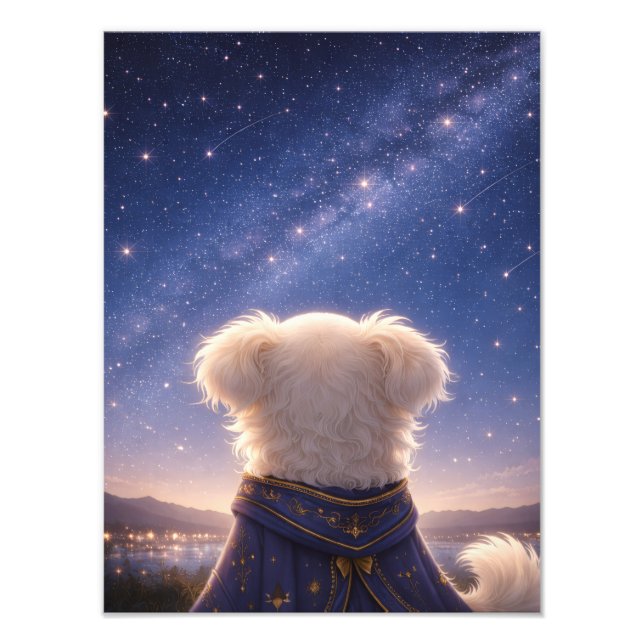 A Quiet Night Under the Stars – Art Print (Front)
