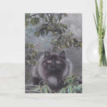 A Quiet Place - Cat And Spiderweb Greeting Card by michaelinemcdonald at Zazzle