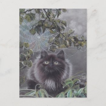 A Quiet Place - Cat Postcard by michaelinemcdonald at Zazzle