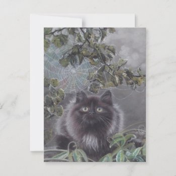 A Quiet Place - Kitten And Spiderweb Postcard by michaelinemcdonald at Zazzle