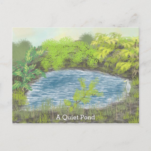 A Quiet Pond Postcard (Front)