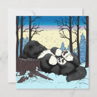 A quiet winters Newfoundland nap