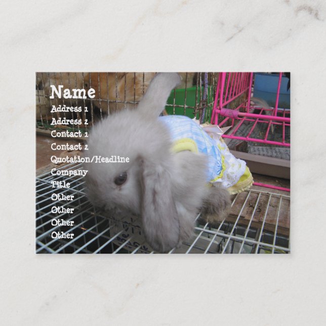 A Rabbit in a Dress Business Card (Front)