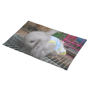 A Rabbit in a Dress Cloth Placemat