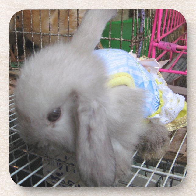A Rabbit in a Dress Drink Coaster (Front)