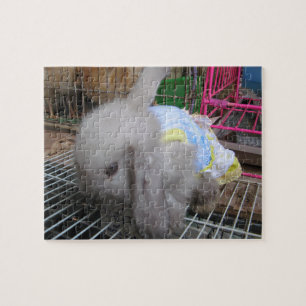 A Rabbit in a Dress Jigsaw Puzzle