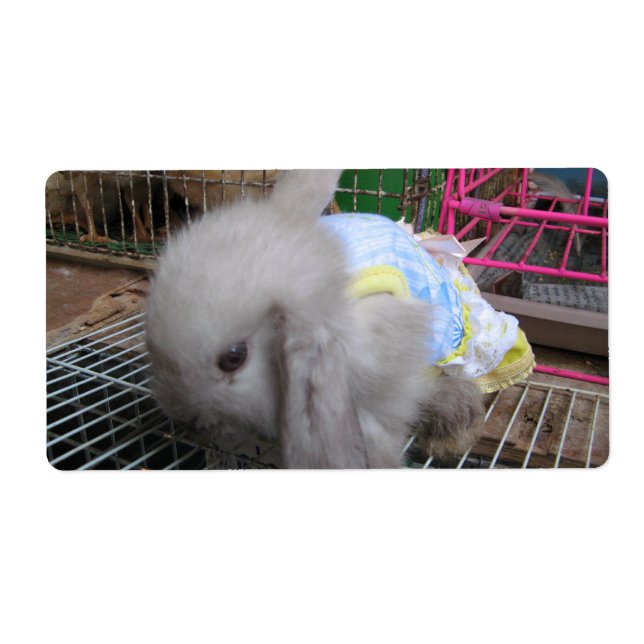 A Rabbit in a Dress Label (Front)