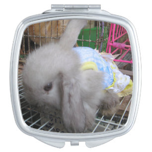 A Rabbit in a Dress Makeup Mirror