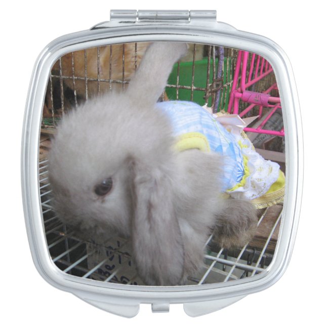 A Rabbit in a Dress Makeup Mirror (Front)