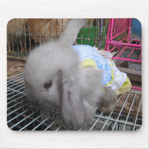 A Rabbit in a Dress Mouse Pad