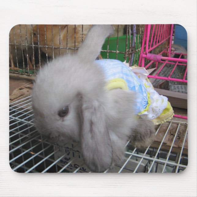 A Rabbit in a Dress Mouse Pad (Front)