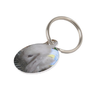A Rabbit in a Dress Pet ID Tag