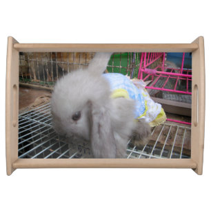 A Rabbit in a Dress Serving Tray