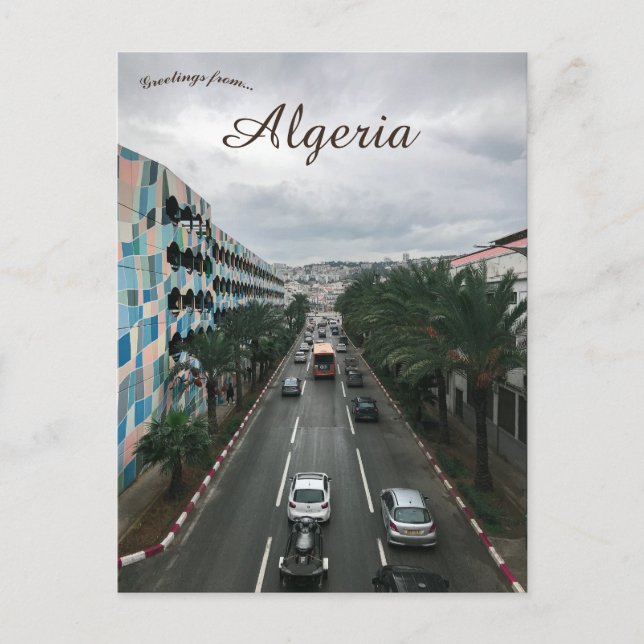 A Rainy Day in Algiers Algeria Postcard (Front)
