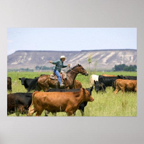 A rancher on horseback during a cattle roundup poster