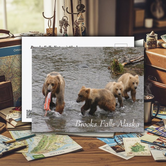 A Rare Feast at Brooks Falls Postcard (Creator Uploaded)