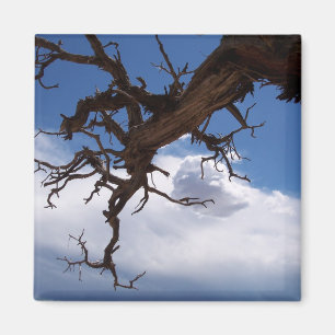 A Real Cliffhanger Magnet