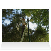 A Real Fixer Upper (Inside Horizontal (Top))