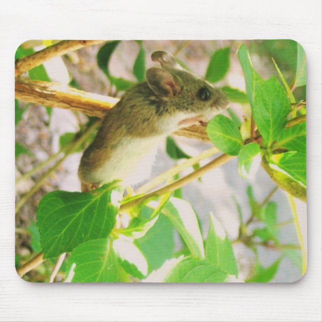 A REAL MOUSEPAD! MOUSE PAD (Front)