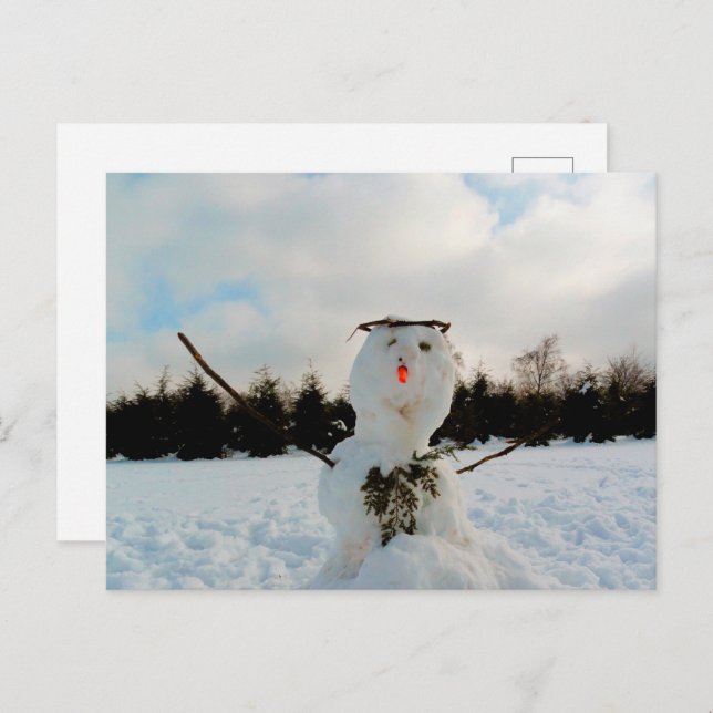 A real Snowman & a winter landscape photo Holiday Postcard (Front/Back)