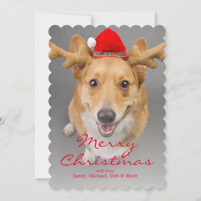A Red and white Pembroke Welsh Corgi dog Holiday Card (Front)