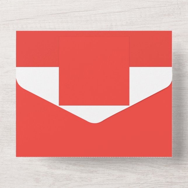 a red background with a white border all in one invitation (Back)