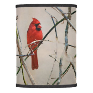 A Red Cardinal Bird on a Branch in the Woods Lamp Shade
