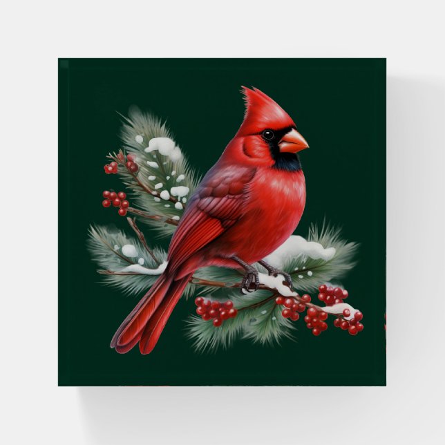 A Red Cardinal Paperweight (Front)