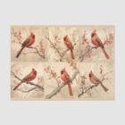 A Red Cardinal Series Design 1