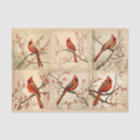 A Red Cardinal Series Design 2