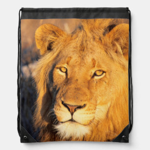 A Red Maned Lion looking at the camera. Drawstring Bag
