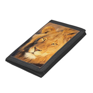 A Red Maned Lion looking at the camera. Trifold Wallet