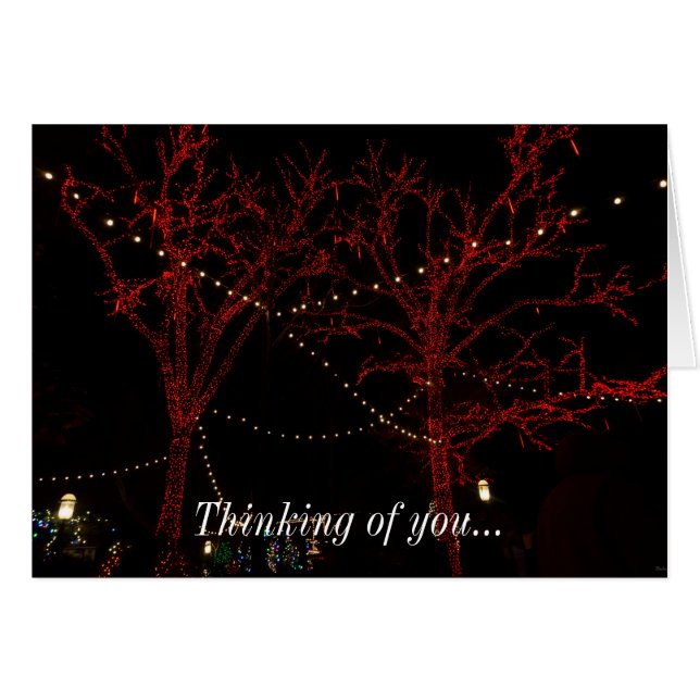 A Red Pair Thinking Of You Christmas Cards (Front Horizontal)