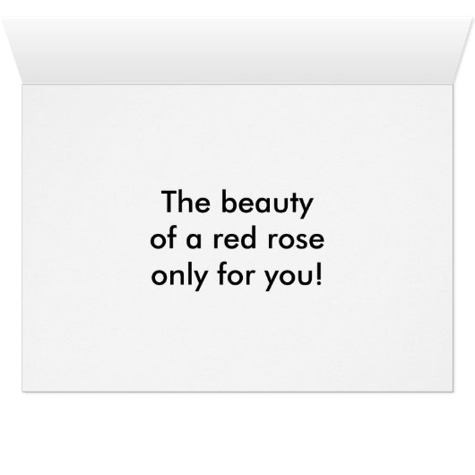 A red rose (Inside Horizontal (Bottom))