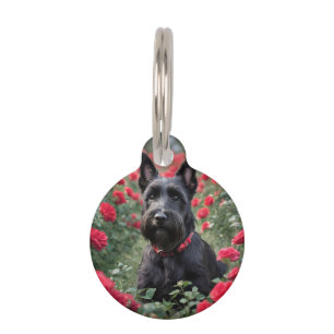 "A Red Rose for the Black Scottish Terrier" Pet ID Tag