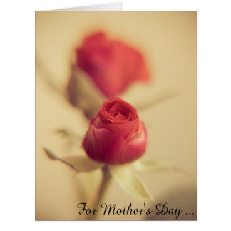 A red rose for the mother… greeting card gefunden auf Zazzle